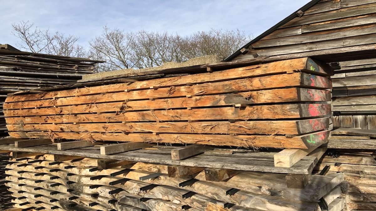 oak boule drying in timber yard