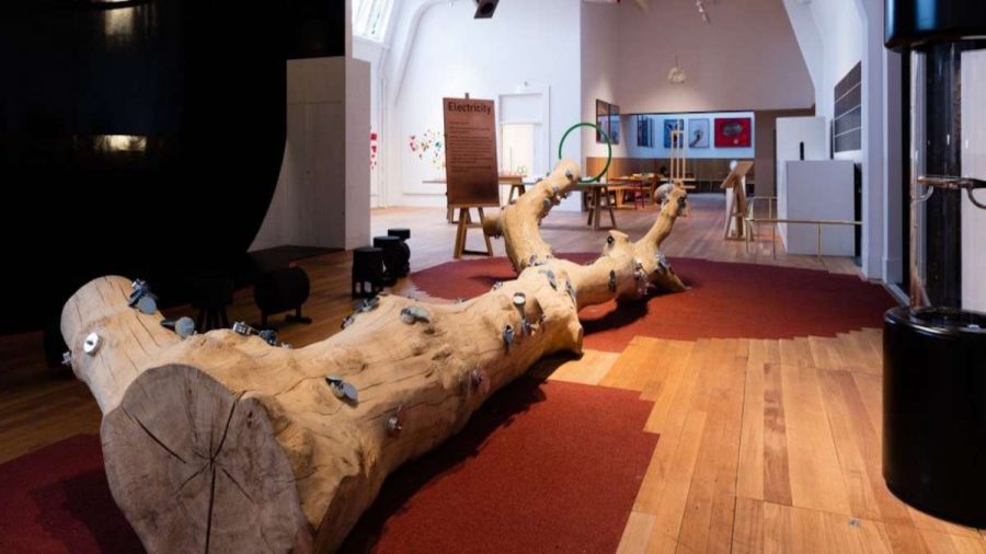 tree trunk embedded with metal magnets on display in science museum